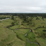 Une vue aérienne de Monte Verde où les premiers habitants d'Amérique du Sud se sont peut-être installés