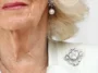 Y avait-il un message codé républicain dans la broche de la reine Camilla ?