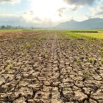 Comment le changement climatique peut accroître la résistance aux antibiotiques