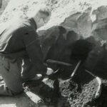 Des os anciens révèlent des détails saisissants d'une chasse à l'éléphant de Néandertal Des os anciens révèlent des détails saisissants d'une chasse à l'éléphant de Néandertal
