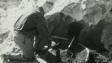 Des os anciens révèlent des détails saisissants d'une chasse à l'éléphant de Néandertal