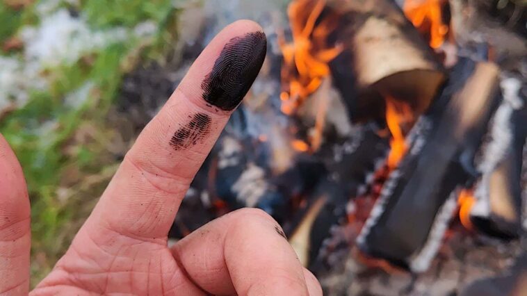 Les Néandertaliens auraient pu soigner leurs blessures avec du goudron collant aux antibiotiques