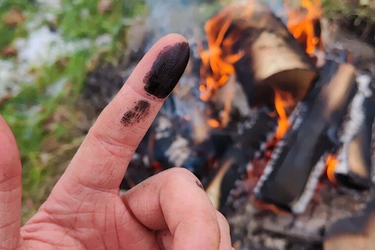 Les Néandertaliens auraient pu soigner leurs blessures avec du goudron collant aux antibiotiques