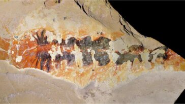 Un fossile préserve les contours d'un petit arthropode segmenté avec de multiples appendices le long de son corps.