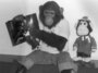Qu'est-il arrivé à Bubbles, le chimpanzé de compagnie de Michael Jackson ?
