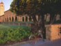 Party of None : Dans la guerre contre le plaisir de Stanford