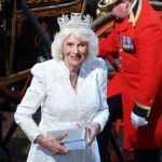La reine Camilla porte un diadème vieux de plusieurs siècles avec 1 333 diamants à l'ouverture du Parlement britannique La reine Camilla porte un diadème vieux de plusieurs siècles avec 1 333 diamants à l'ouverture du Parlement britannique