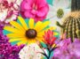Célébrez le 250e anniversaire de l'Amérique lors d'une nouvelle exposition de fleurs d'État