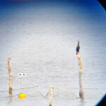 Une vue télescopique d'une bouée dans l'océan tenant des yeux écarquillés au sommet d'un poteau. Un oiseau est perché à proximité sur un poteau en bois supportant un filet de pêche