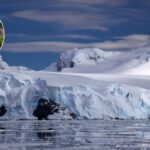 Les plantes de l'Antarctique pourraient être confrontées à une menace fongique croissante due au réchauffement des sols Les plantes de l'Antarctique pourraient être confrontées à une menace fongique croissante due au réchauffement des sols