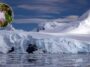 Les plantes de l'Antarctique pourraient être confrontées à une menace fongique croissante due au réchauffement des sols