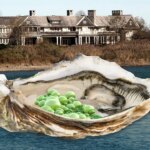 Peur et algues dans les Hamptons : comment des bactéries carnivores envahissent les voies navigables les plus chics de la côte Est
