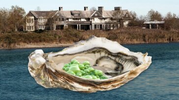 Peur et algues dans les Hamptons : comment des bactéries carnivores envahissent les voies navigables les plus chics de la côte Est