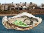Peur et algues dans les Hamptons : comment des bactéries carnivores envahissent les voies navigables les plus chics de la côte Est