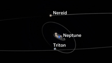 Un rendu informatique d'une planète bleue entourée de lunes, avec deux lunes plus éloignées appelées Triton et Néréide. Les orbites des lunes sont représentées en gris.