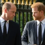 La visite du prince Harry au Royaume-Uni est une « source de profonde irritation » pour le prince William