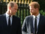 La visite du prince Harry au Royaume-Uni est une « source de profonde irritation » pour le prince William
