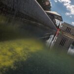 Les nouvelles données scientifiques sur la mortalité des algues arrivent trop tard pour le Reflecting Pool
