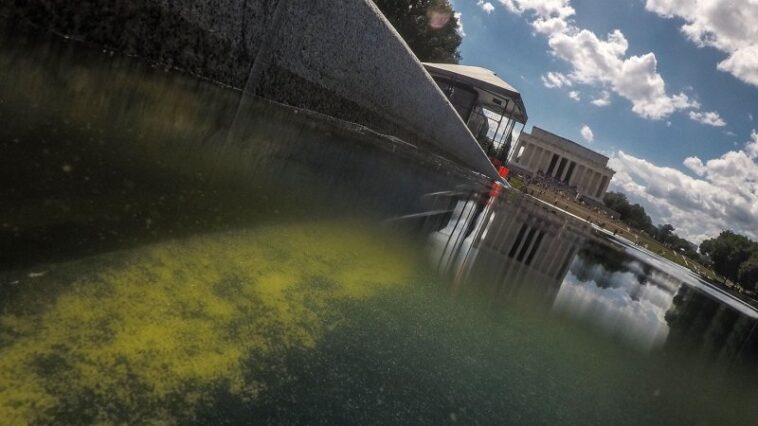 Les nouvelles données scientifiques sur la mortalité des algues arrivent trop tard pour le Reflecting Pool