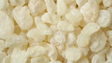 Non, la gomme mastic ne remodèlera pas votre mâchoire