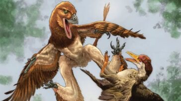 Un nouveau fossile de dinosaure pourrait résoudre un ancien mystère de meurtre