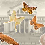 L'histoire naturelle de chaque État américain est exposée dans une nouvelle exposition à Washington