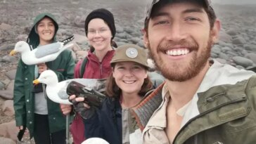 Quatre personnes sourient sur une plage rocheuse, brumeuse et froide. Ils tiennent des mouettes en plastique.