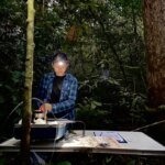Un chercheur travaillant sur un instrument assis sur une table dans une forêt tropicale.