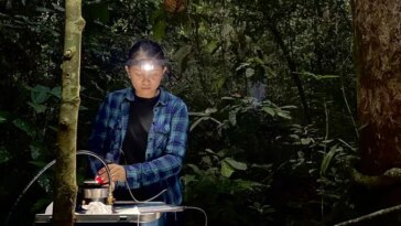 Un chercheur travaillant sur un instrument assis sur une table dans une forêt tropicale.