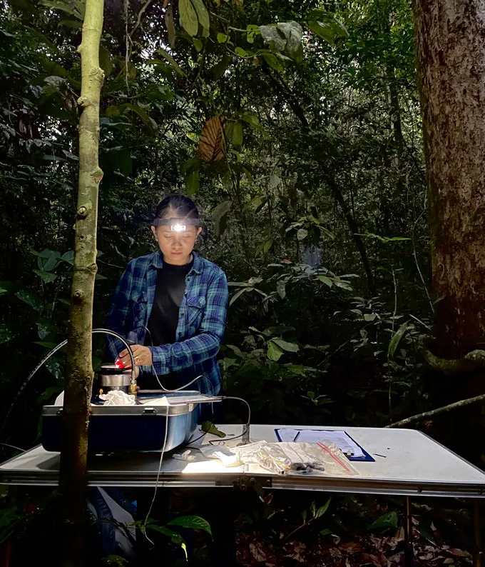 Un chercheur travaillant sur un instrument assis sur une table dans une forêt tropicale.
