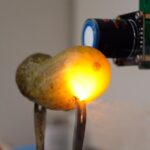 Les cornichons brillent lorsque vous les branchez. La science explique pourquoi Les cornichons brillent lorsque vous les branchez. La science explique pourquoi