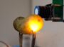 Les cornichons brillent lorsque vous les branchez. La science explique pourquoi