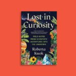 Lost in Curiosity révèle la réalité désordonnée de la science Lost in Curiosity révèle la réalité désordonnée de la science