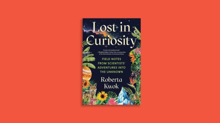 Lost in Curiosity révèle la réalité désordonnée de la science Lost in Curiosity révèle la réalité désordonnée de la science