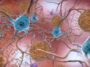 Un nouveau type de médicament contre la maladie d'Alzheimer semble prometteur
