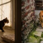 Combien de temps vit vraiment un chat dʼappartement et pourquoi lʼécart avec un chat qui sort est aussi grand Combien de temps vit vraiment un chat dʼappartement et pourquoi lʼécart avec un chat qui sort est aussi grand
