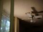 Un ventilateur de plafond consomme dix fois moins quʼun climatiseur mobile pour une sensation de fraîcheur comparable