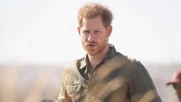 Le prince Harry envoie l'héritage de la princesse Diana aux éléphants