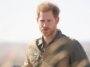 Le prince Harry envoie l'héritage de la princesse Diana aux éléphants