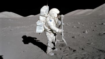 Des microbes pourraient être lyophilisés au pôle sud de la Lune