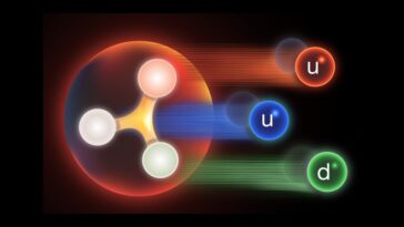 La colle qui lie un proton pourrait être la clé de son identité