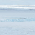 Les poussins de manchots empereurs comme ceux-là meurent de faim. Un iceberg pourrait en être la cause Une plate-forme de glace avec de petites taches noires – des manchots empereurs – blottis le long du bord est représentée de loin à travers un champ de glace.