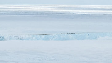 Une plate-forme de glace avec de petites taches noires – des manchots empereurs – blottis le long du bord est représentée de loin à travers un champ de glace.