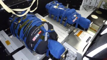 Deux torses se trouvent côte à côte, l'un portant un gilet noir, sur cette image prise alors que la NASA se préparait pour le vol spatial sans équipage Artemis I autour de la lune pour tester la technologie de la mission.