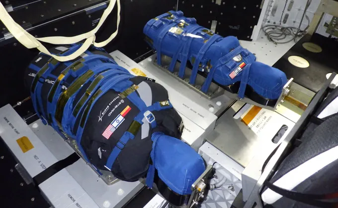 Un gilet testé lors de la mission Artemis I a bloqué une partie de l'exposition aux radiations Deux torses se trouvent côte à côte, l'un portant un gilet noir, sur cette image prise alors que la NASA se préparait pour le vol spatial sans équipage Artemis I autour de la lune pour tester la technologie de la mission.