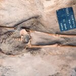 Cette tombe « anti-vampirique » utilisait deux stratégies pour arrêter les morts-vivants Une photo d'ensemble du squelette et de la faucille enterrés