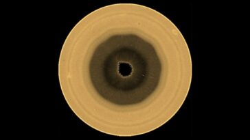 De nouvelles images de Hubble révèlent un étrange décagone au-dessus du pôle sud de Saturne