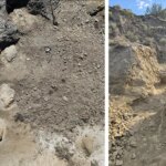 Deux photos sont présentées côte à côte. Sur la gauche se trouve une photo de quatre empreintes de T. rex montrées depuis les airs. A droite, une photo prise depuis le sol, devant la première piste. Une grande colline couverte d'arbustes se trouve en arrière-plan.