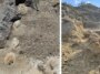 Deux photos sont présentées côte à côte. Sur la gauche se trouve une photo de quatre empreintes de T. rex montrées depuis les airs. A droite, une photo prise depuis le sol, devant la première piste. Une grande colline couverte d'arbustes se trouve en arrière-plan.