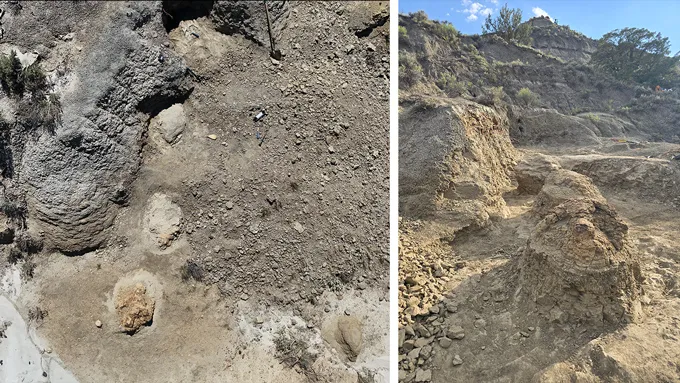 La première série d'empreintes de pas de T. rex adultes donne une idée de sa vitesse de marche Deux photos sont présentées côte à côte. Sur la gauche se trouve une photo de quatre empreintes de T. rex montrées depuis les airs. A droite, une photo prise depuis le sol, devant la première piste. Une grande colline couverte d'arbustes se trouve en arrière-plan.